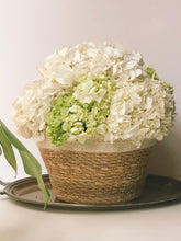 Load image into Gallery viewer, Savar Plant Bowl (Set of 3)
