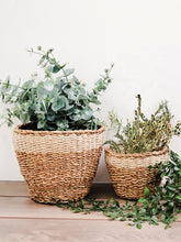 Load image into Gallery viewer, Savar Planter
